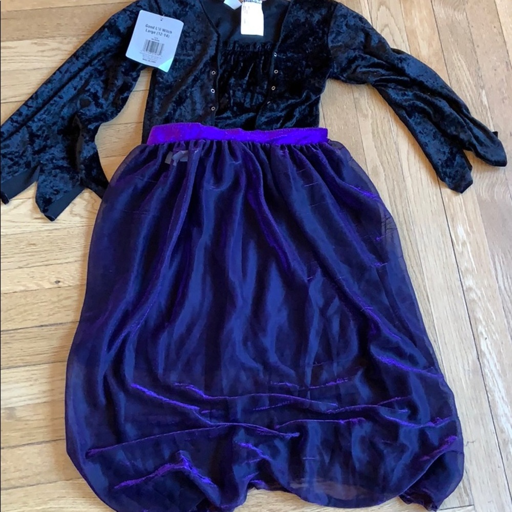 Girls L 12-14 2 pc witch costume iridescent purple